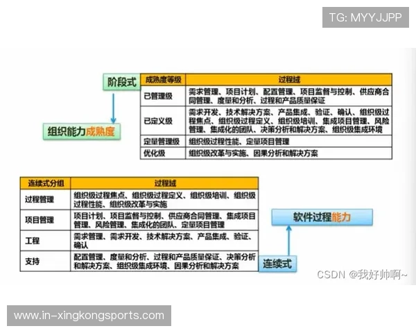 SMP模型拼装全流程演示与技巧解析视频制作指南