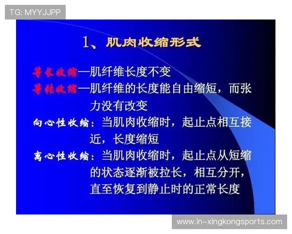 全球运动员康复技术最新发展与应用排名全面解析