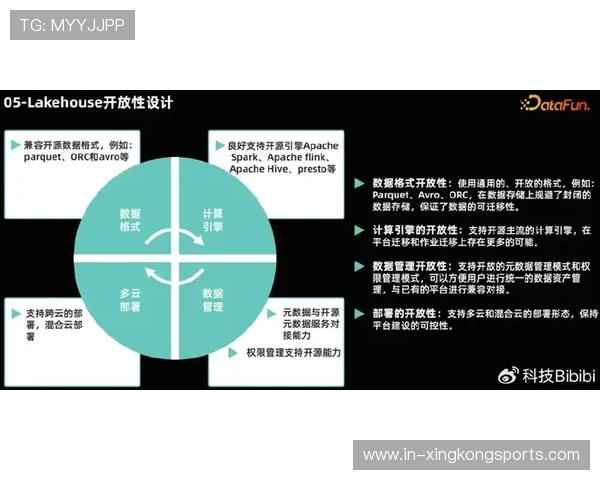 奥斯梅恩比赛表现与关键数据分析全面解析 奥斯梅恩比赛表现与关键数据分析全面解析